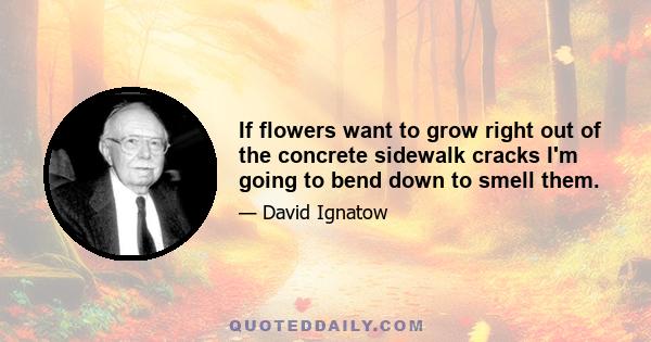 If flowers want to grow right out of the concrete sidewalk cracks I'm going to bend down to smell them.