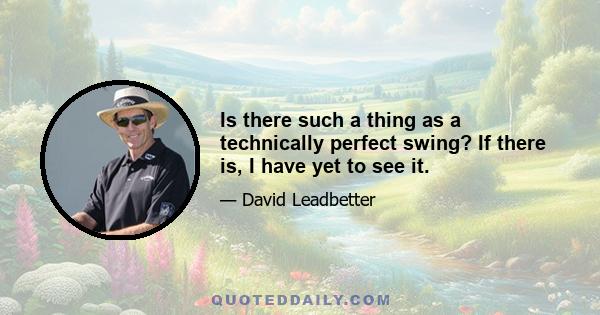 Is there such a thing as a technically perfect swing? If there is, I have yet to see it.