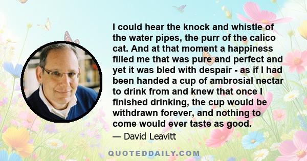 I could hear the knock and whistle of the water pipes, the purr of the calico cat. And at that moment a happiness filled me that was pure and perfect and yet it was bled with despair - as if I had been handed a cup of