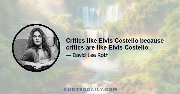 Critics like Elvis Costello because critics are like Elvis Costello.