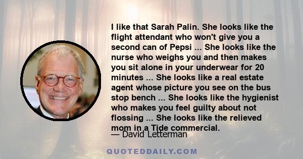 I like that Sarah Palin. She looks like the flight attendant who won't give you a second can of Pepsi ... She looks like the nurse who weighs you and then makes you sit alone in your underwear for 20 minutes ... She