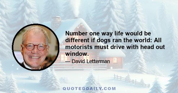 Number one way life would be different if dogs ran the world: All motorists must drive with head out window.