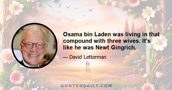 Osama bin Laden was living in that compound with three wives. It's like he was Newt Gingrich.