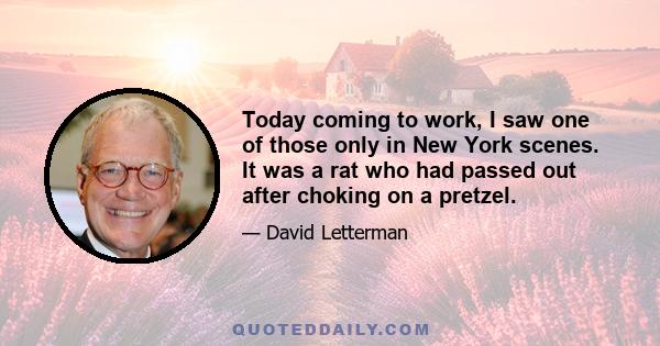 Today coming to work, I saw one of those only in New York scenes. It was a rat who had passed out after choking on a pretzel.