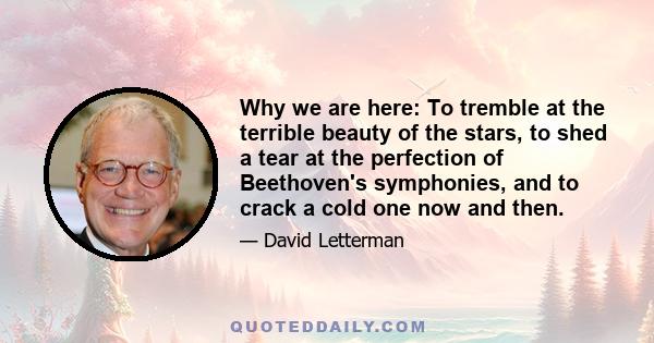 Why we are here: To tremble at the terrible beauty of the stars, to shed a tear at the perfection of Beethoven's symphonies, and to crack a cold one now and then.