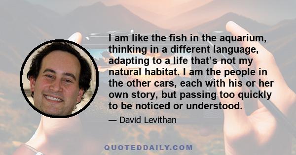 I am like the fish in the aquarium, thinking in a different language, adapting to a life that’s not my natural habitat. I am the people in the other cars, each with his or her own story, but passing too quickly to be