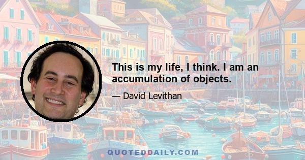 This is my life, I think. I am an accumulation of objects.