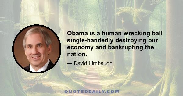 Obama is a human wrecking ball single-handedly destroying our economy and bankrupting the nation.