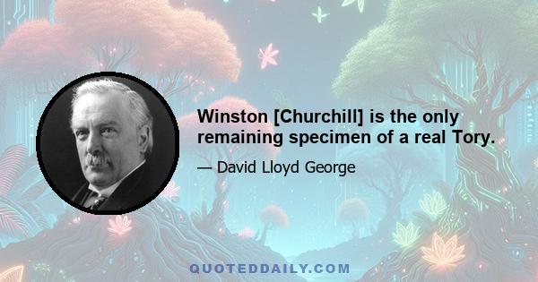 Winston [Churchill] is the only remaining specimen of a real Tory.