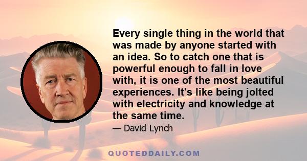 Every single thing in the world that was made by anyone started with an idea. So to catch one that is powerful enough to fall in love with, it is one of the most beautiful experiences. It's like being jolted with