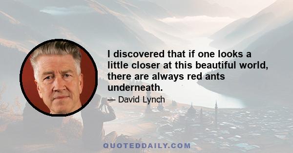 I discovered that if one looks a little closer at this beautiful world, there are always red ants underneath.