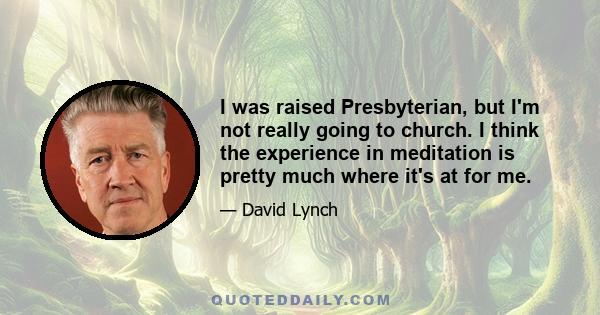 I was raised Presbyterian, but I'm not really going to church. I think the experience in meditation is pretty much where it's at for me.