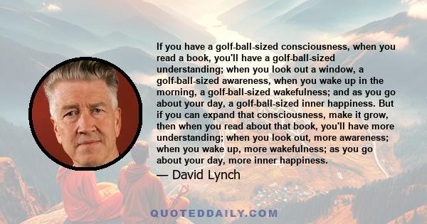 If you have a golf-ball-sized consciousness, when you read a book, you'll have a golf-ball-sized understanding; when you look out a window, a golf-ball-sized awareness, when you wake up in the morning, a golf-ball-sized 