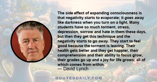 The side effect of expanding consciousness is that negativity starts to evaporate; it goes away like darkness when you turn on a light.