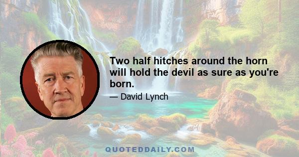 Two half hitches around the horn will hold the devil as sure as you're born.