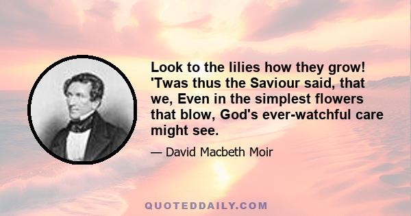 Look to the lilies how they grow! 'Twas thus the Saviour said, that we, Even in the simplest flowers that blow, God's ever-watchful care might see.