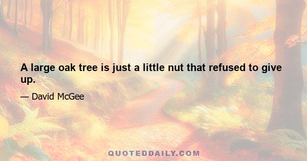 A large oak tree is just a little nut that refused to give up.