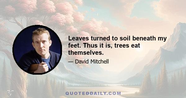 Leaves turned to soil beneath my feet. Thus it is, trees eat themselves.