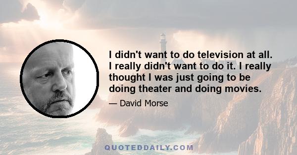 I didn't want to do television at all. I really didn't want to do it. I really thought I was just going to be doing theater and doing movies.