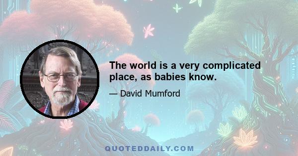 The world is a very complicated place, as babies know.