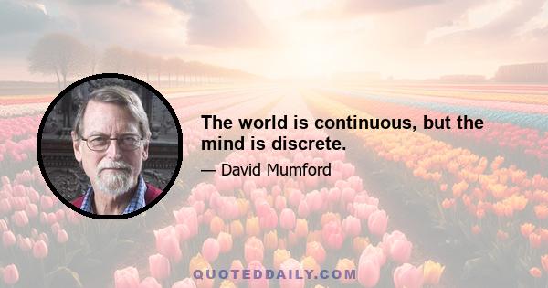 The world is continuous, but the mind is discrete.