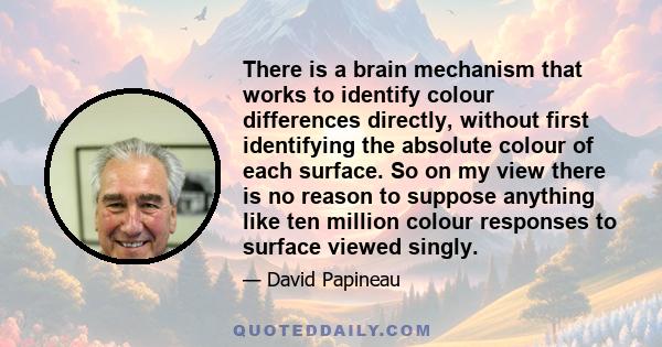 There is a brain mechanism that works to identify colour differences directly, without first identifying the absolute colour of each surface. So on my view there is no reason to suppose anything like ten million colour