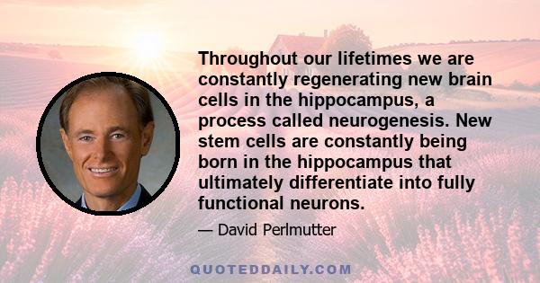 Throughout our lifetimes we are constantly regenerating new brain cells in the hippocampus, a process called neurogenesis. New stem cells are constantly being born in the hippocampus that ultimately differentiate into