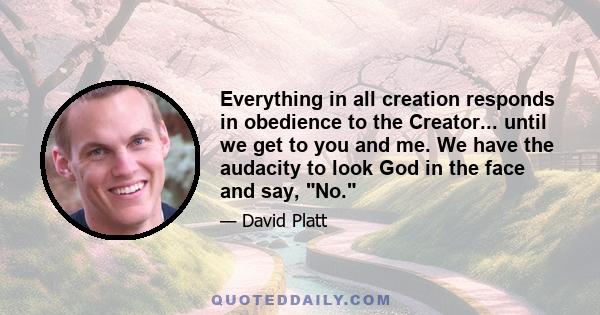 Everything in all creation responds in obedience to the Creator... until we get to you and me. We have the audacity to look God in the face and say, No.