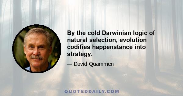 By the cold Darwinian logic of natural selection, evolution codifies happenstance into strategy.