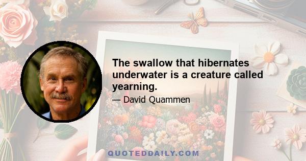 The swallow that hibernates underwater is a creature called yearning.