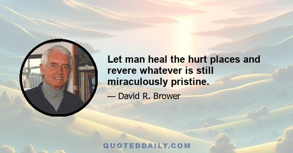 Let man heal the hurt places and revere whatever is still miraculously pristine.