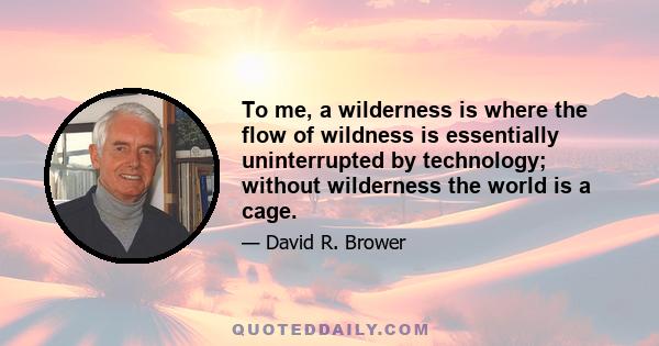 To me, a wilderness is where the flow of wildness is essentially uninterrupted by technology; without wilderness the world is a cage.