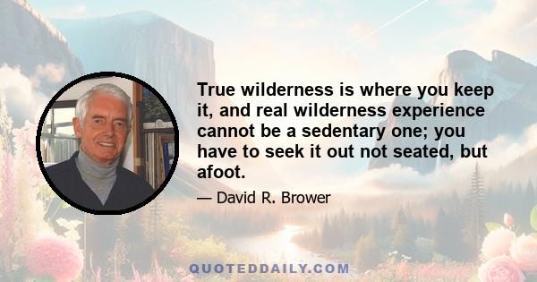 True wilderness is where you keep it, and real wilderness experience cannot be a sedentary one; you have to seek it out not seated, but afoot.