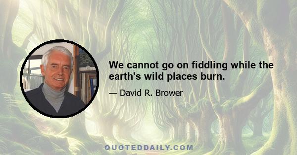 We cannot go on fiddling while the earth's wild places burn.