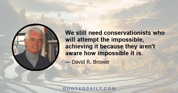 We still need conservationists who will attempt the impossible, achieving it because they aren't aware how impossible it is.