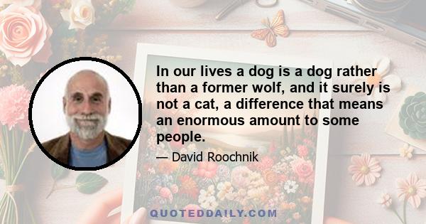 In our lives a dog is a dog rather than a former wolf, and it surely is not a cat, a difference that means an enormous amount to some people.