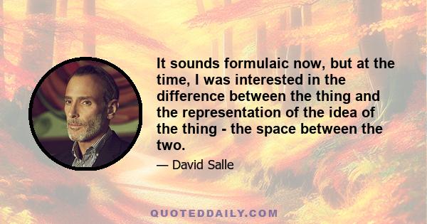 It sounds formulaic now, but at the time, I was interested in the difference between the thing and the representation of the idea of the thing - the space between the two.