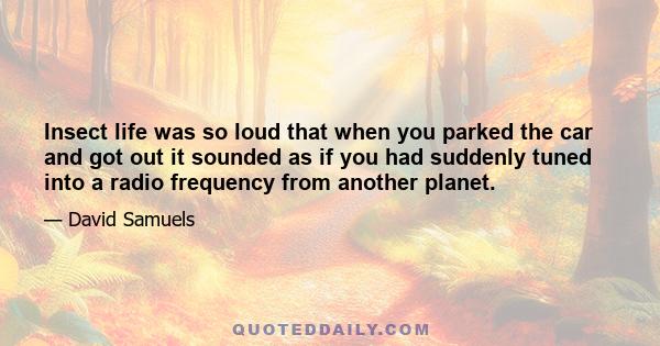 Insect life was so loud that when you parked the car and got out it sounded as if you had suddenly tuned into a radio frequency from another planet.