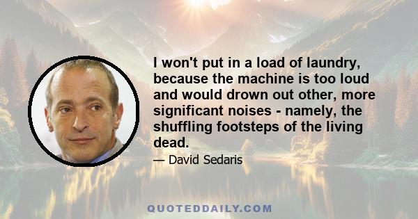 I won't put in a load of laundry, because the machine is too loud and would drown out other, more significant noises - namely, the shuffling footsteps of the living dead.