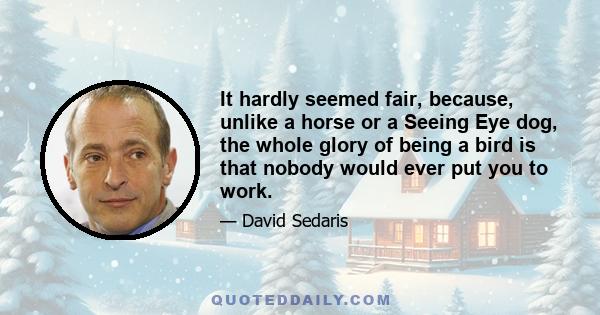 It hardly seemed fair, because, unlike a horse or a Seeing Eye dog, the whole glory of being a bird is that nobody would ever put you to work.