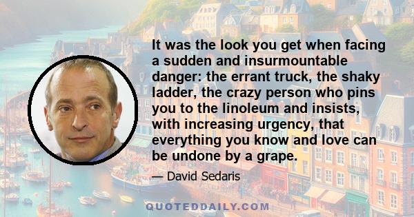 It was the look you get when facing a sudden and insurmountable danger: the errant truck, the shaky ladder, the crazy person who pins you to the linoleum and insists, with increasing urgency, that everything you know