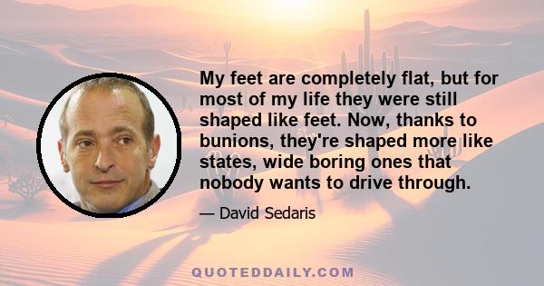 My feet are completely flat, but for most of my life they were still shaped like feet. Now, thanks to bunions, they're shaped more like states, wide boring ones that nobody wants to drive through.