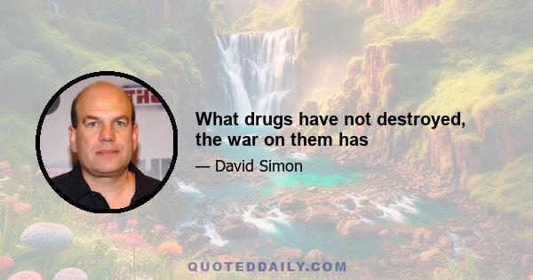 What drugs have not destroyed, the war on them has