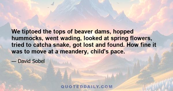 We tiptoed the tops of beaver dams, hopped hummocks, went wading, looked at spring flowers, tried to catcha snake, got lost and found. How fine it was to move at a meandery, child's pace.