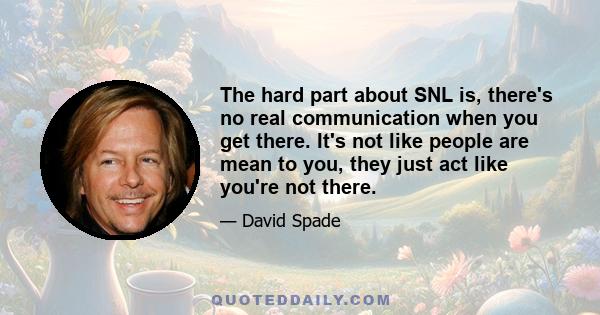 The hard part about SNL is, there's no real communication when you get there. It's not like people are mean to you, they just act like you're not there.