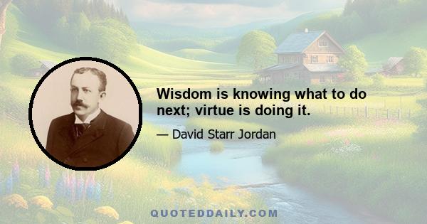 Wisdom is knowing what to do next; virtue is doing it.