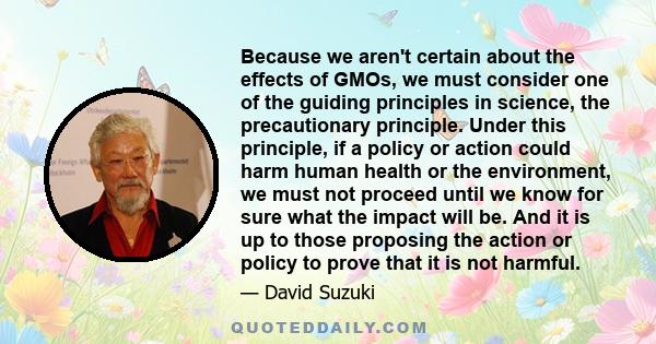 Because we aren't certain about the effects of GMOs, we must consider one of the guiding principles in science, the precautionary principle. Under this principle, if a policy or action could harm human health or the