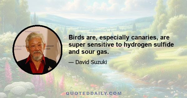 Birds are, especially canaries, are super sensitive to hydrogen sulfide and sour gas.