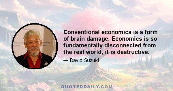 Conventional economics is a form of brain damage. Economics is so fundamentally disconnected from the real world, it is destructive.