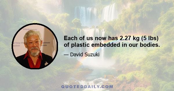 Each of us now has 2.27 kg (5 lbs) of plastic embedded in our bodies.